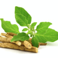 Ashwagandha for Stress Relief: A Comprehensive Overview