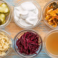 Probiotics for Gut Health and Digestion: An Introduction