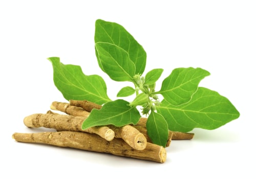 Ashwagandha for Stress Relief: A Comprehensive Overview