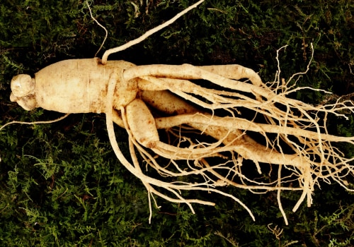 Ginseng for Anti-Aging Effects: A Comprehensive Overview